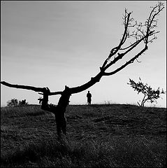 фото "Дерево и фигура"