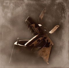 photo "***"