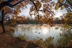 photo "осень"