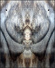 фото "azrael"