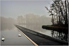 фото "Cycling through Water in Bokrijk"