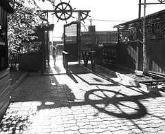 фото "***"
