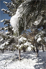 фото "Snowy tale...4"