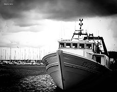 фото "in the channel"