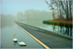 фото "Cycling through Water in Bokrijk 2"