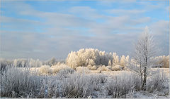 photo "December. Frost."