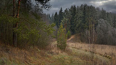 photo "***"