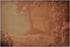 photo "***"
