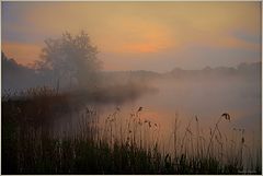 photo "***"