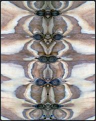 фото "totem pole"