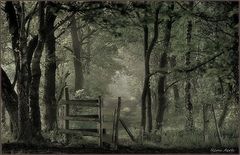 photo "***"