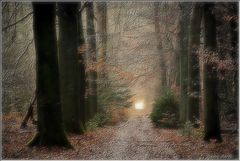 photo "***"
