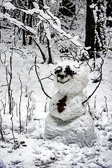 photo "Snowman"