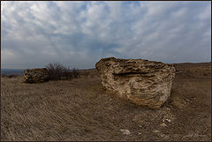 фото "на каменных россыпях"