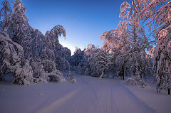 фото "На распутье"
