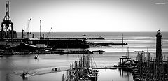 фото "in the port"