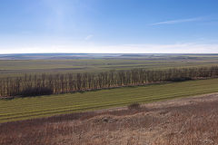 фото "«Не январские зарисовки»"