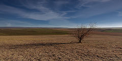 photo "***"