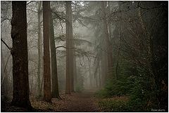 photo "***"