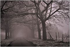 photo "***"