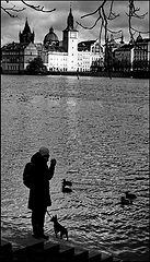 фото "На берегу острова"