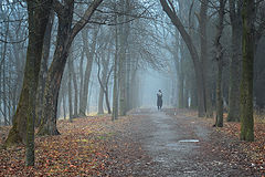 photo "***"