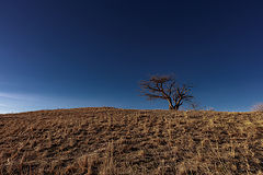 photo "***"