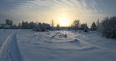 photo "***"