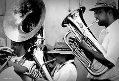 фото "the band"