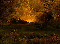 photo "***"