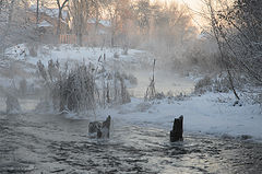 фото "р.Сумка"
