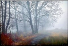 photo "***"
