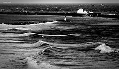 photo "hard waves"
