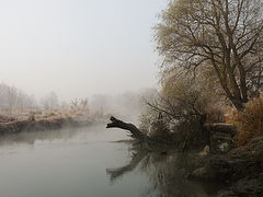 photo "***"