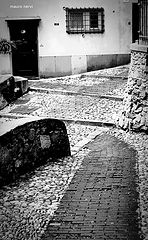 photo "alley"