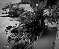 photo "promenade"