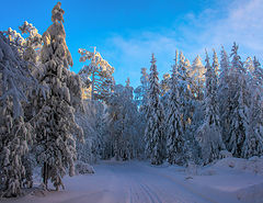 фото "Зимняя сказка"