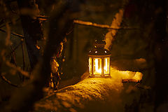 фото "Лес. Фонарь."