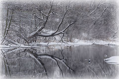 photo "***"