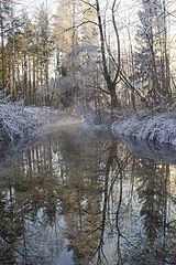 photo "***"