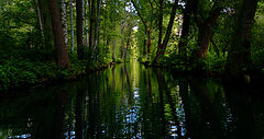  Spreewald