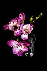 photo "***"