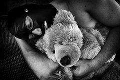 photo "Pets"