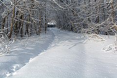 photo "***"