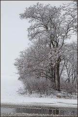 photo "***"