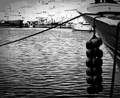 photo "in the channel"