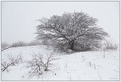 фото "Не весенние зарисовки ..."