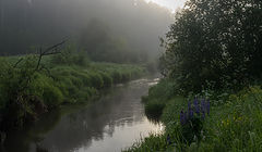 photo "***"
