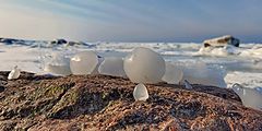 фото "Не редкое явление.( см примечание)"