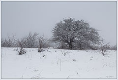 photo "***"
